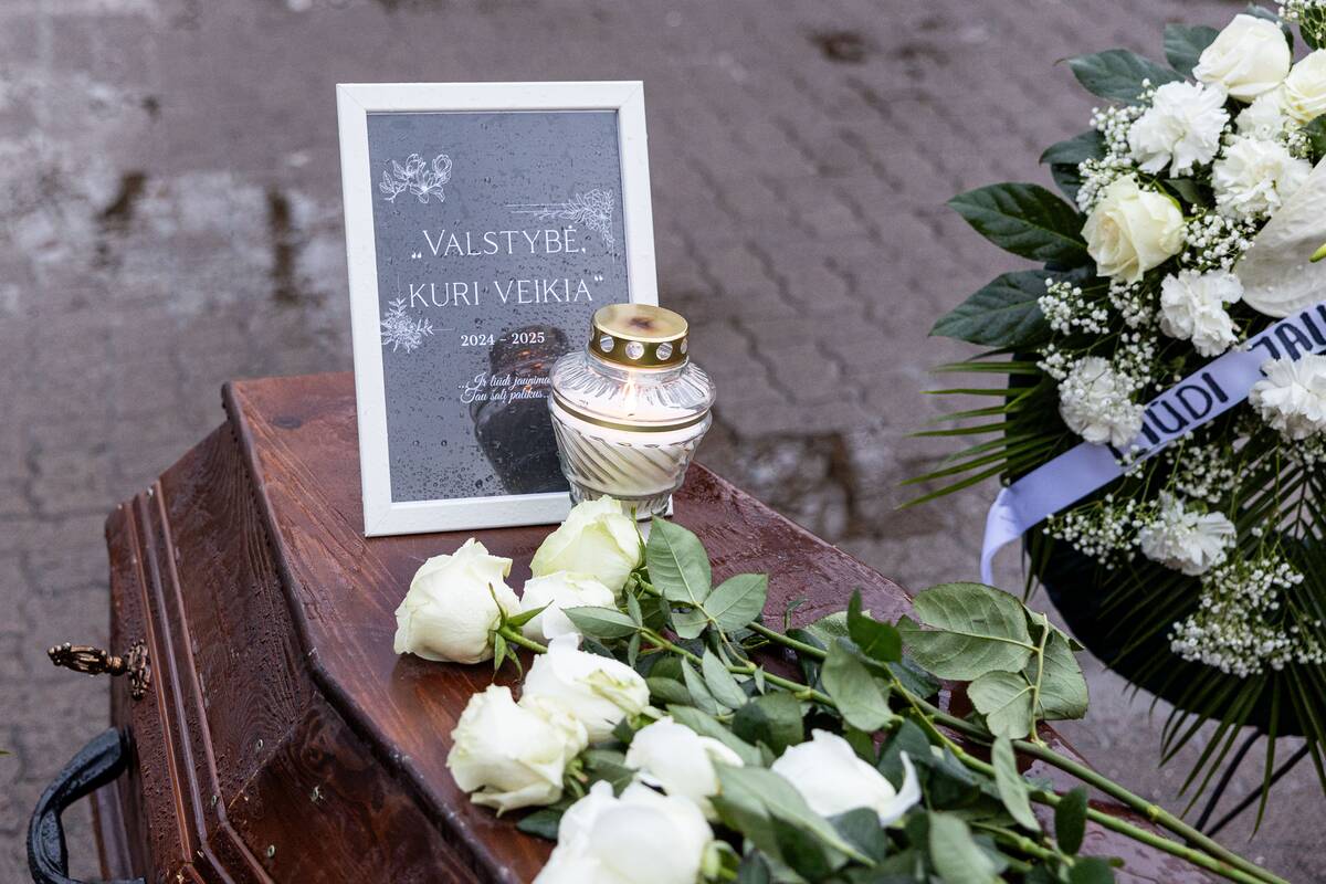 Jaunimo organizacijų protestas prie Seimo