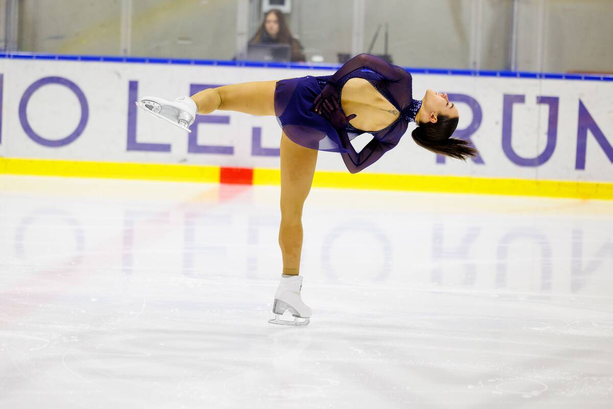 Lietuvos dailiojo čiuožimo čempionatas
