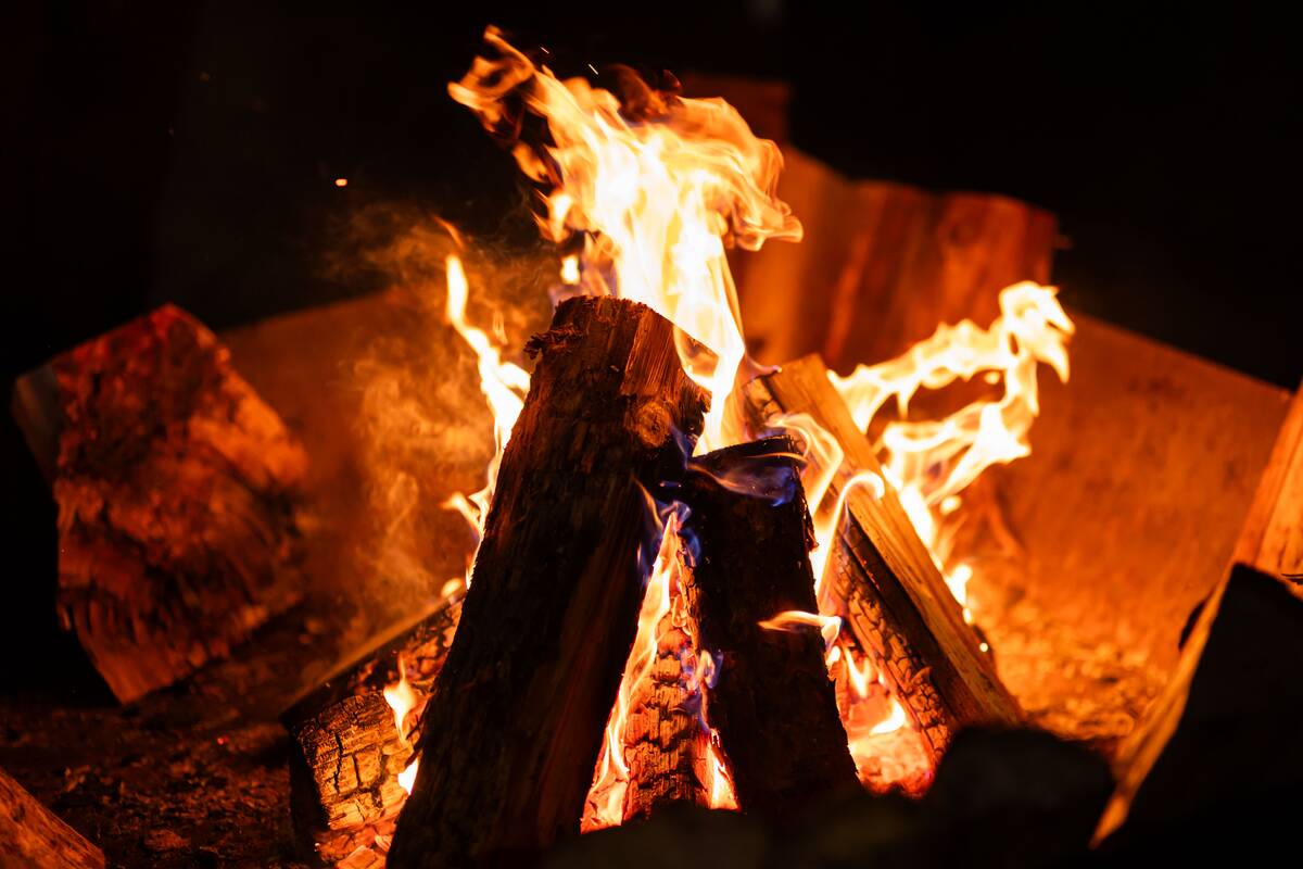 Antrasis protestas „Šalin rankas nuo laisvo žodžio!“