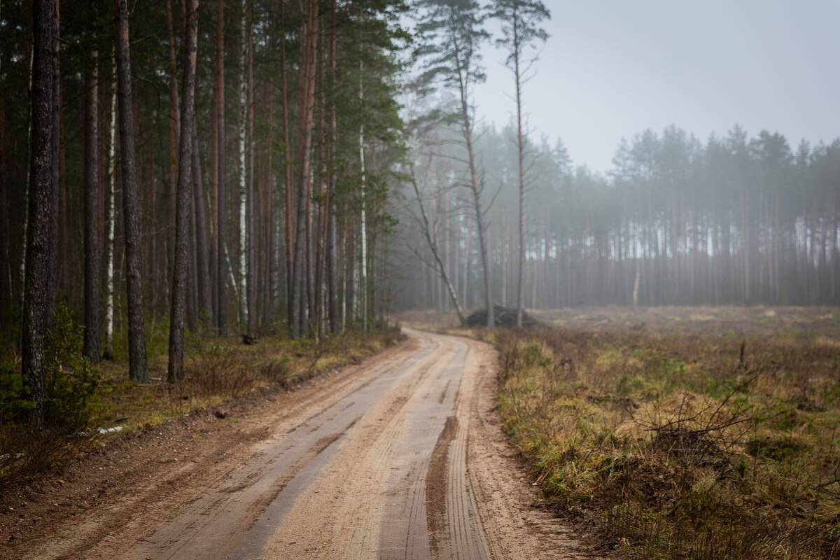 Būsimo Kapčiamiesčio poligono teritorija