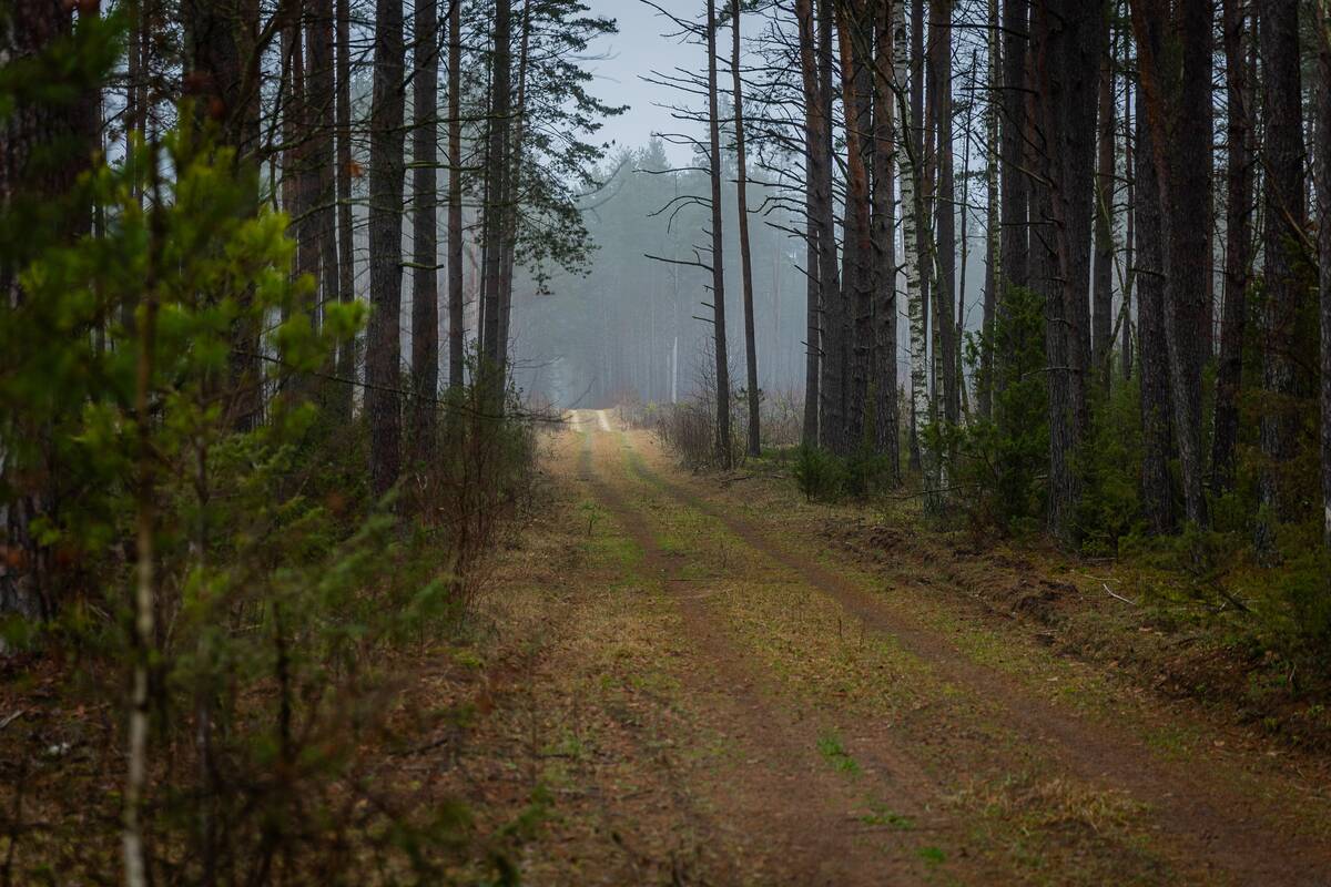 Būsimo Kapčiamiesčio poligono teritorija