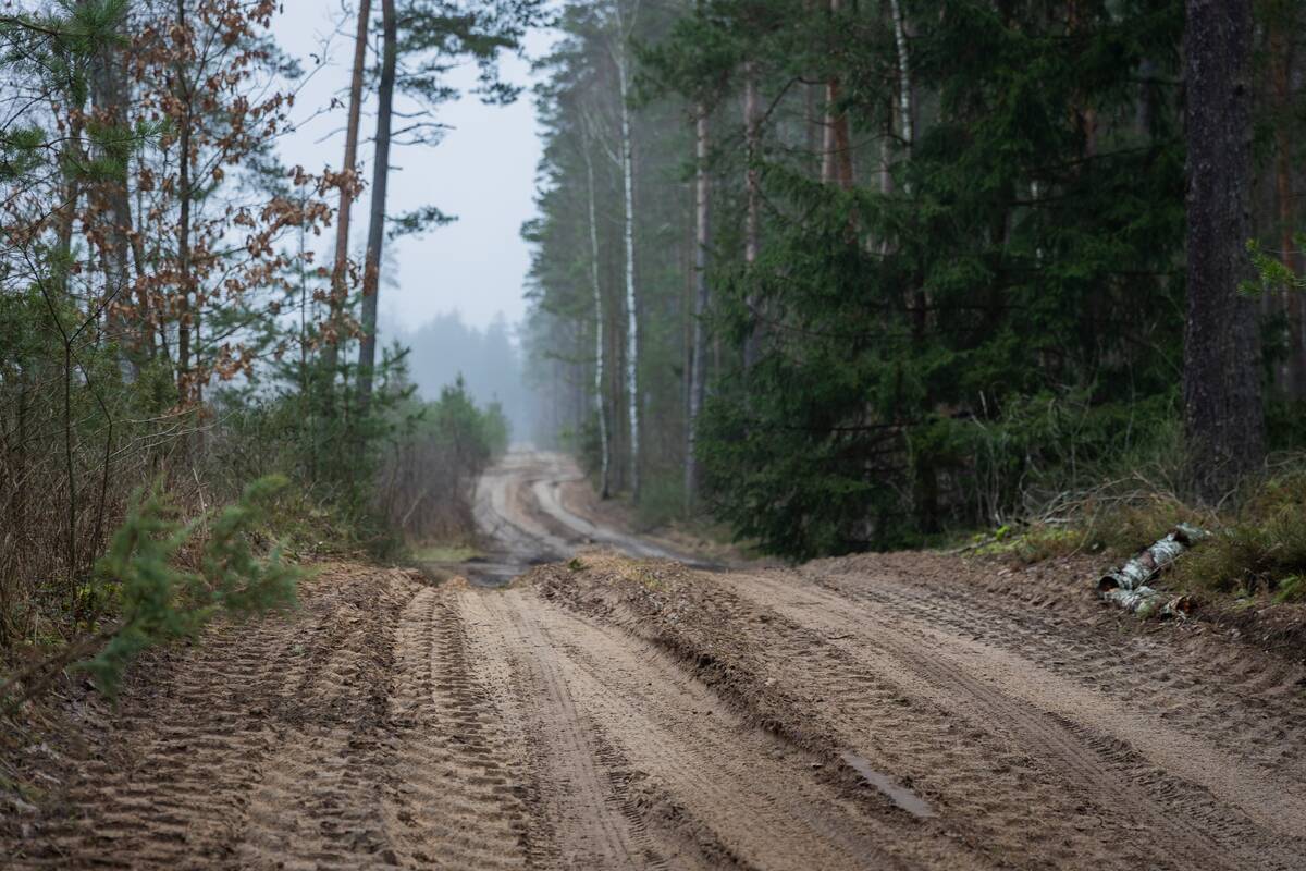 Būsimo Kapčiamiesčio poligono teritorija