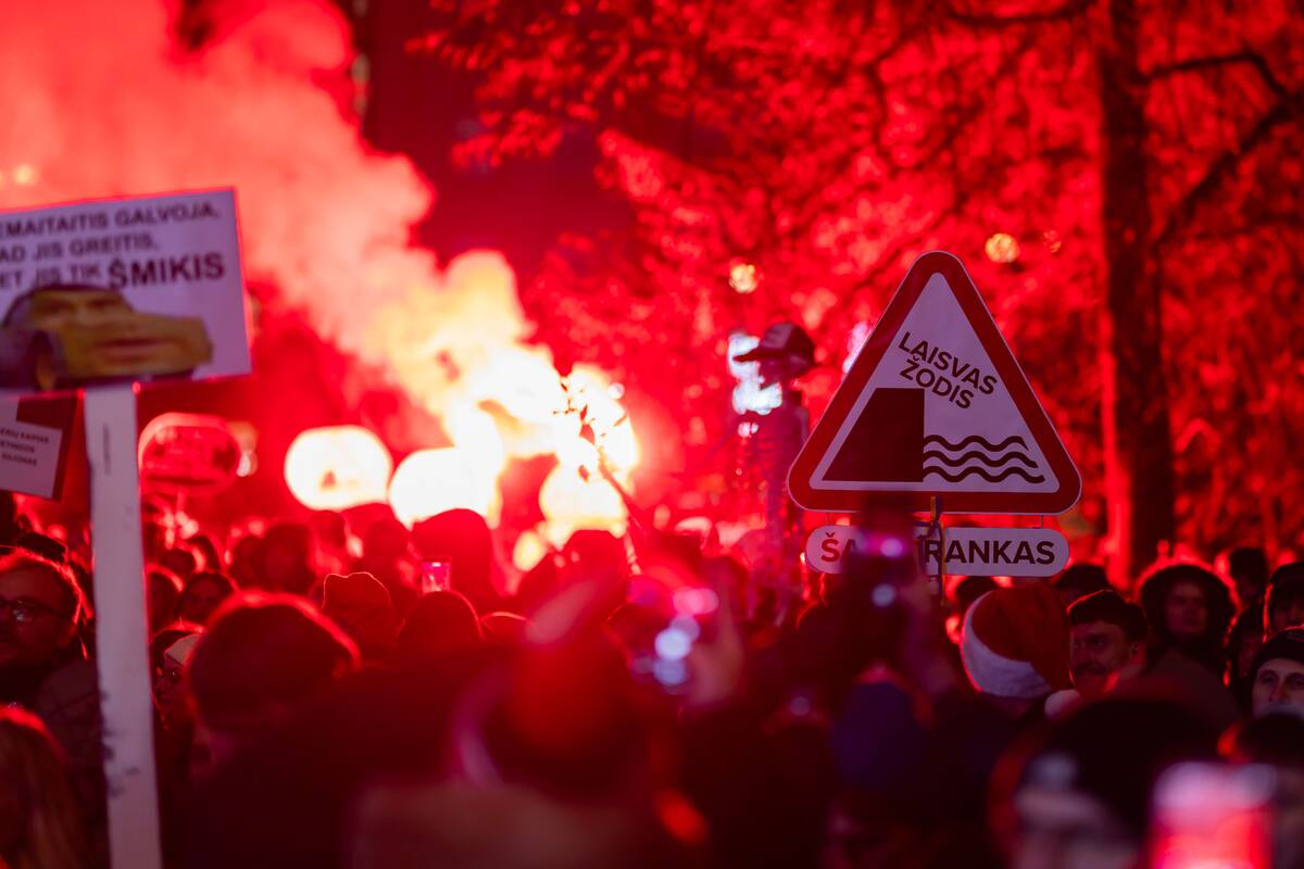 Vėsaitė kreipėsi į LRT: prašo pateikti informaciją apie protesto organizavimo kaštus