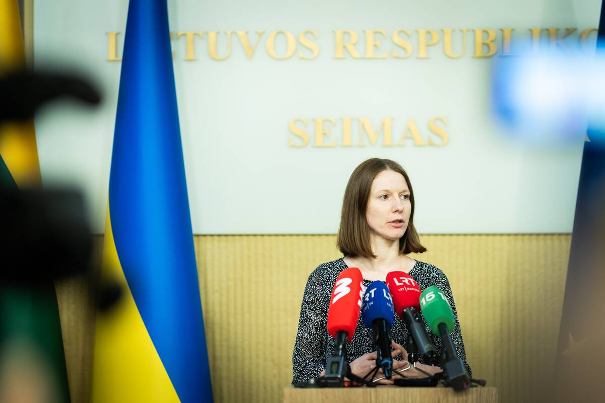 Seimo pirmininkas susitiko su protesto iniciatyvine grupe