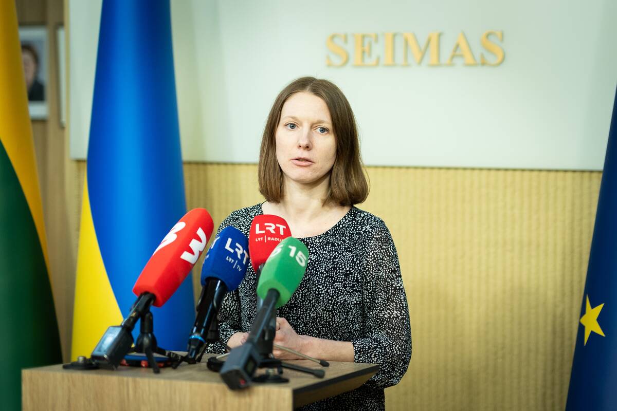 Seimo pirmininkas susitiko su protesto iniciatyvine grupe