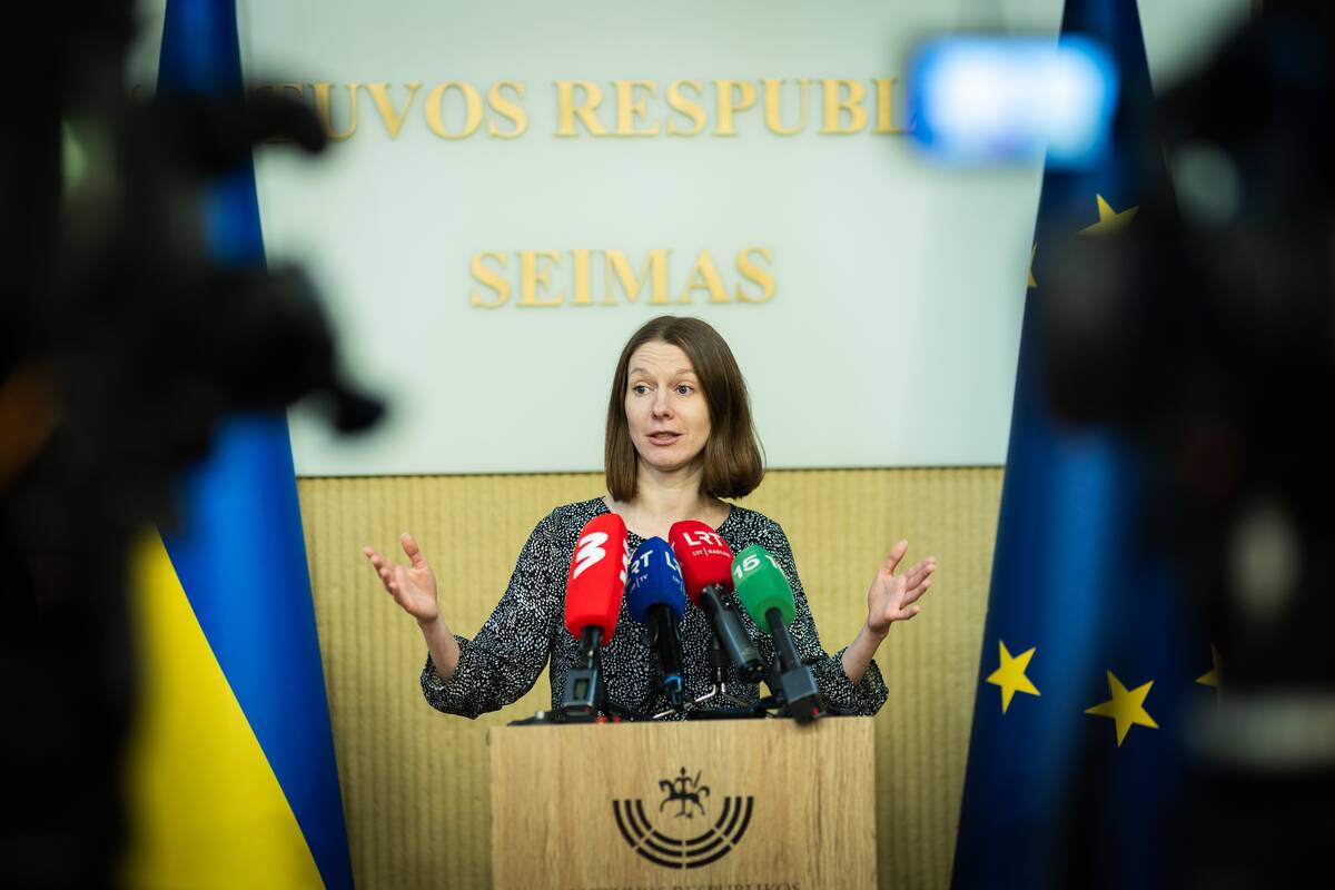 Seimo pirmininkas susitiko su protesto iniciatyvine grupe