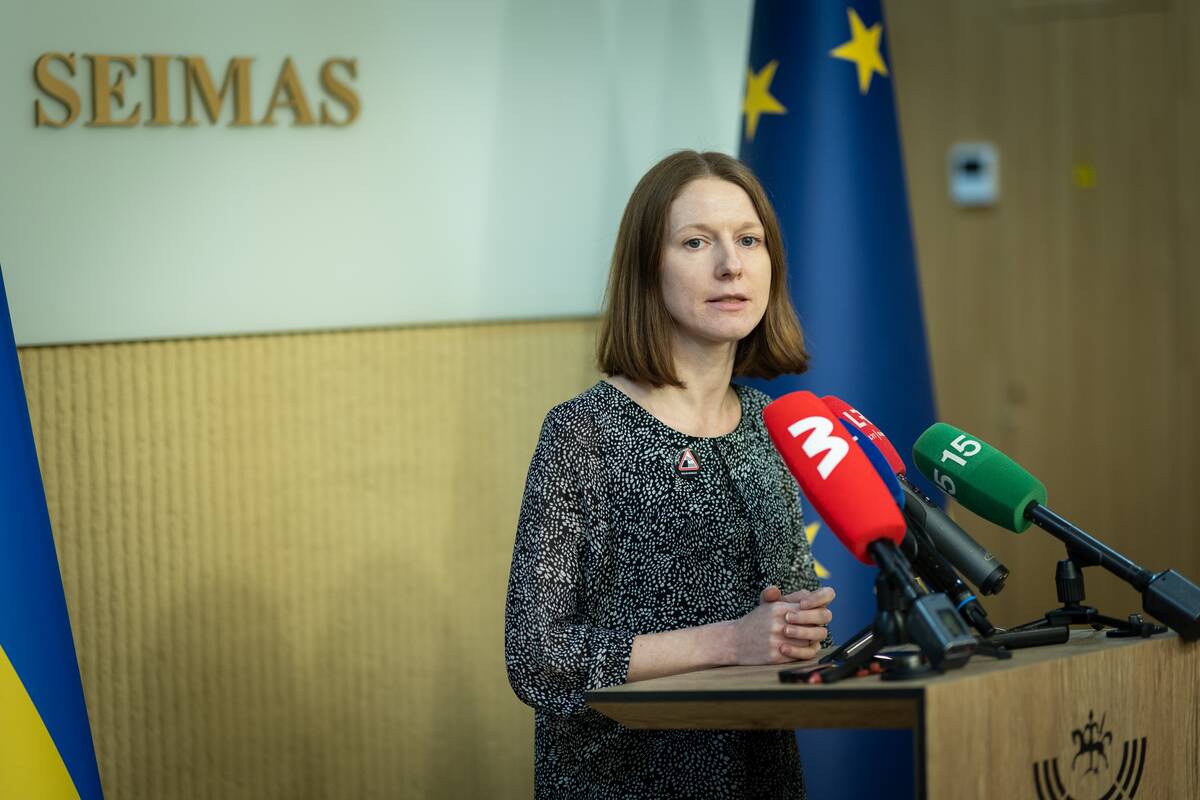 Seimo pirmininkas susitiko su protesto iniciatyvine grupe