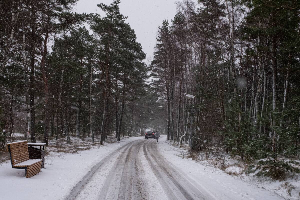 Nidą nuklojo sniegas