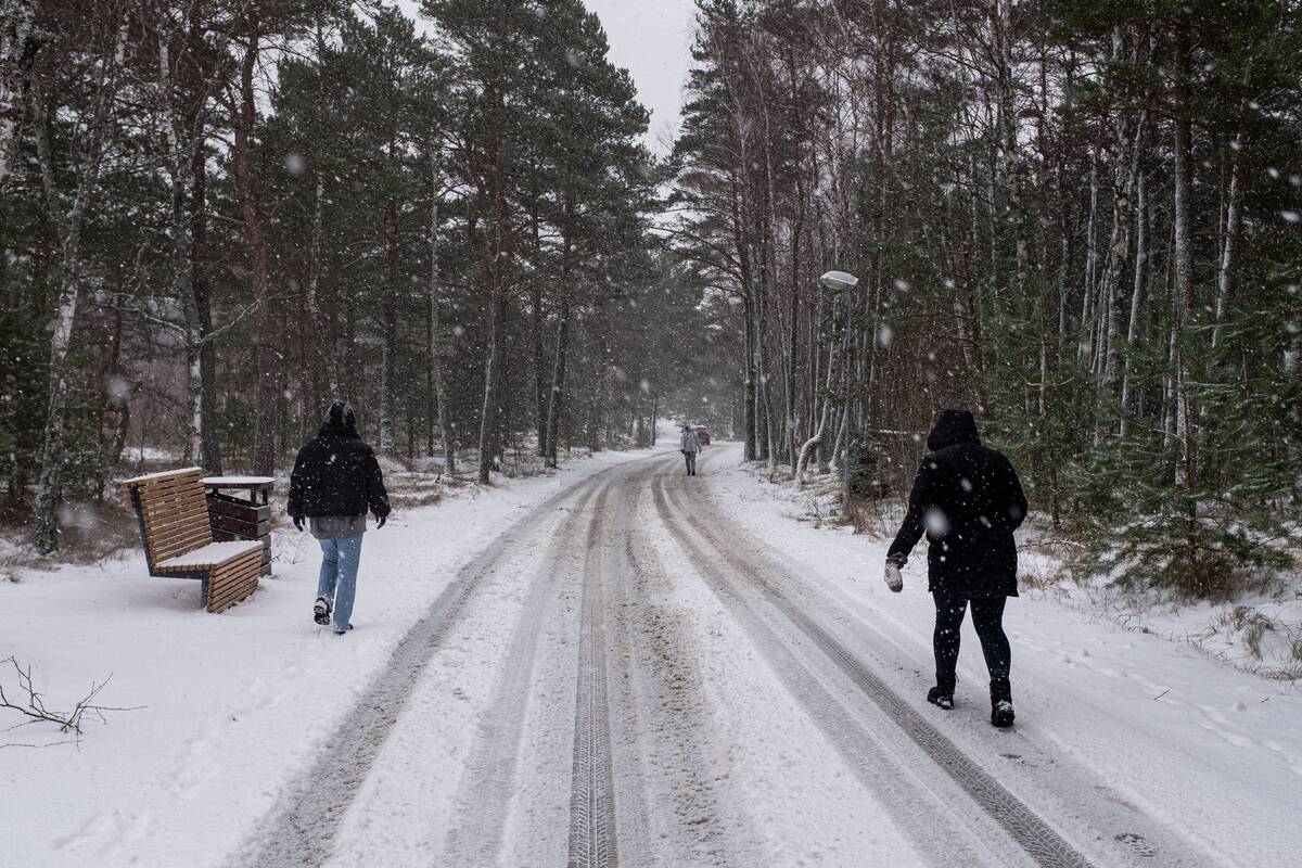 Nidą nuklojo sniegas