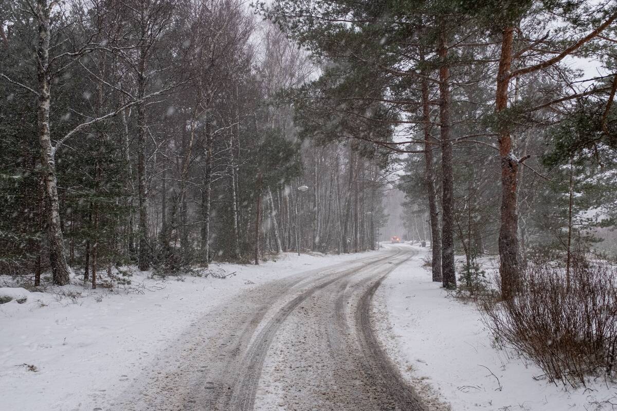 Nidą nuklojo sniegas