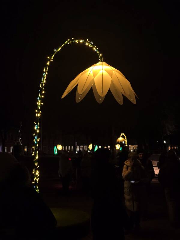 Anykščių Kalėdų eglės įžiebimas