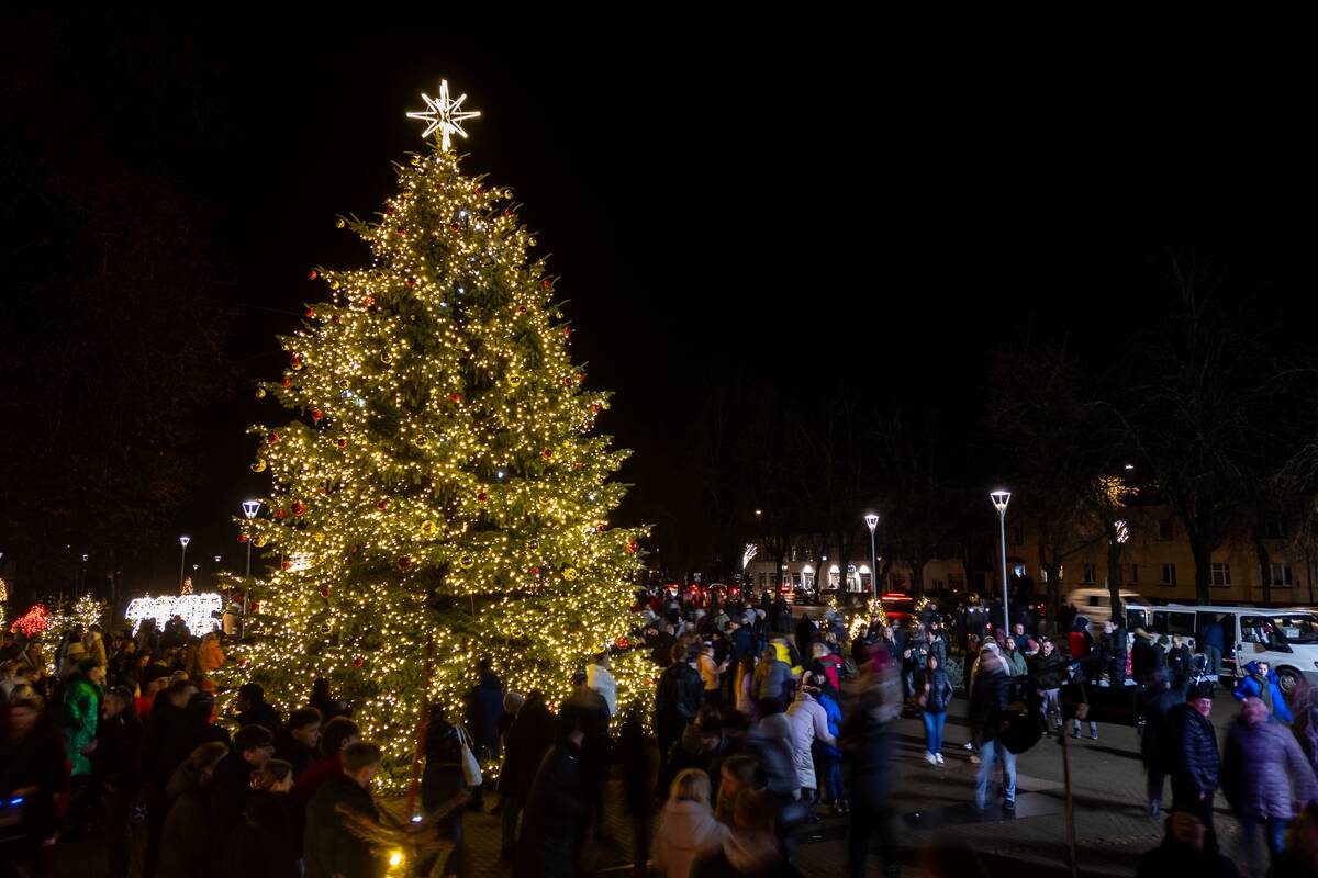 Biržuose įžiebta Kalėdų eglutė