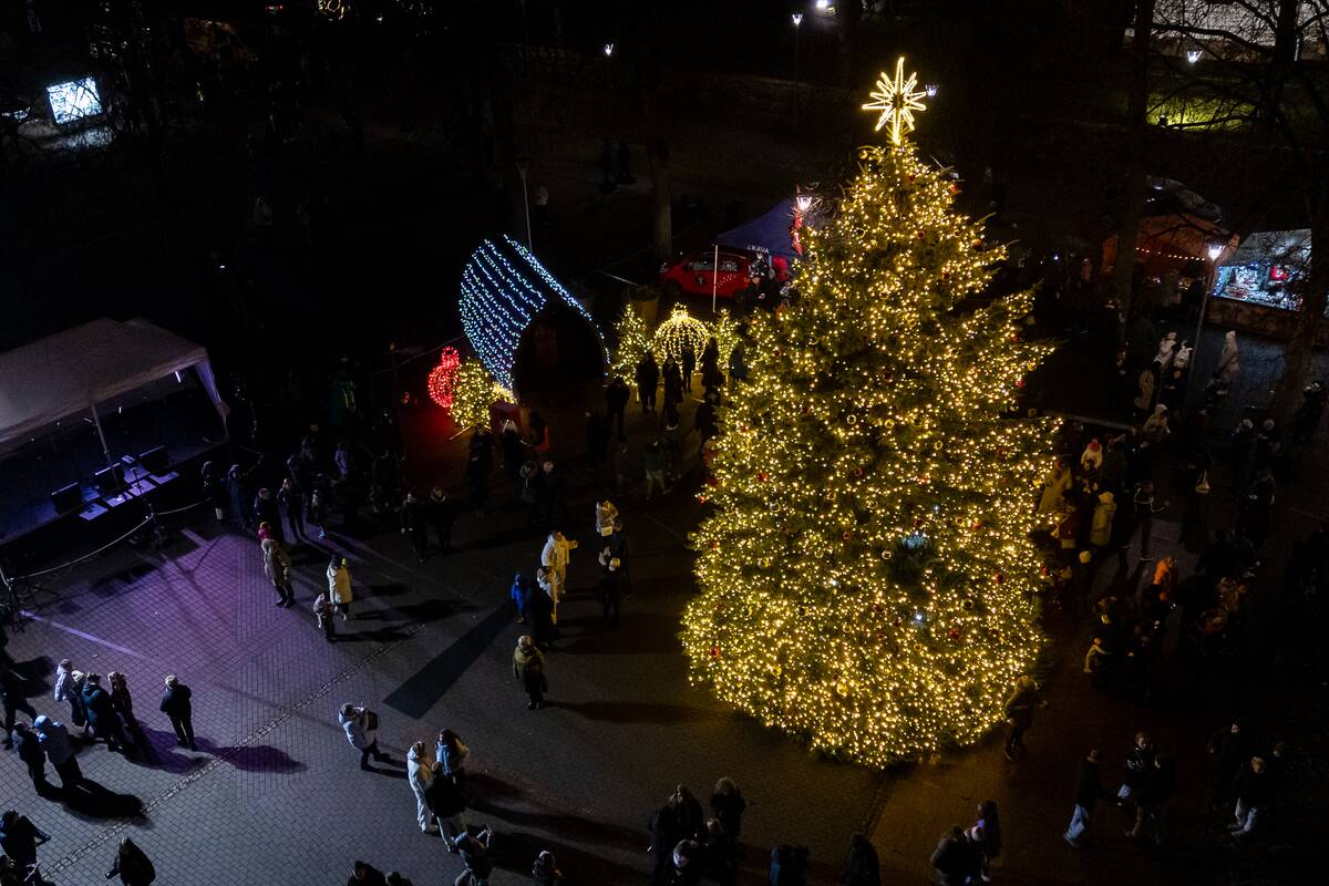 Biržuose įžiebta Kalėdų eglutė