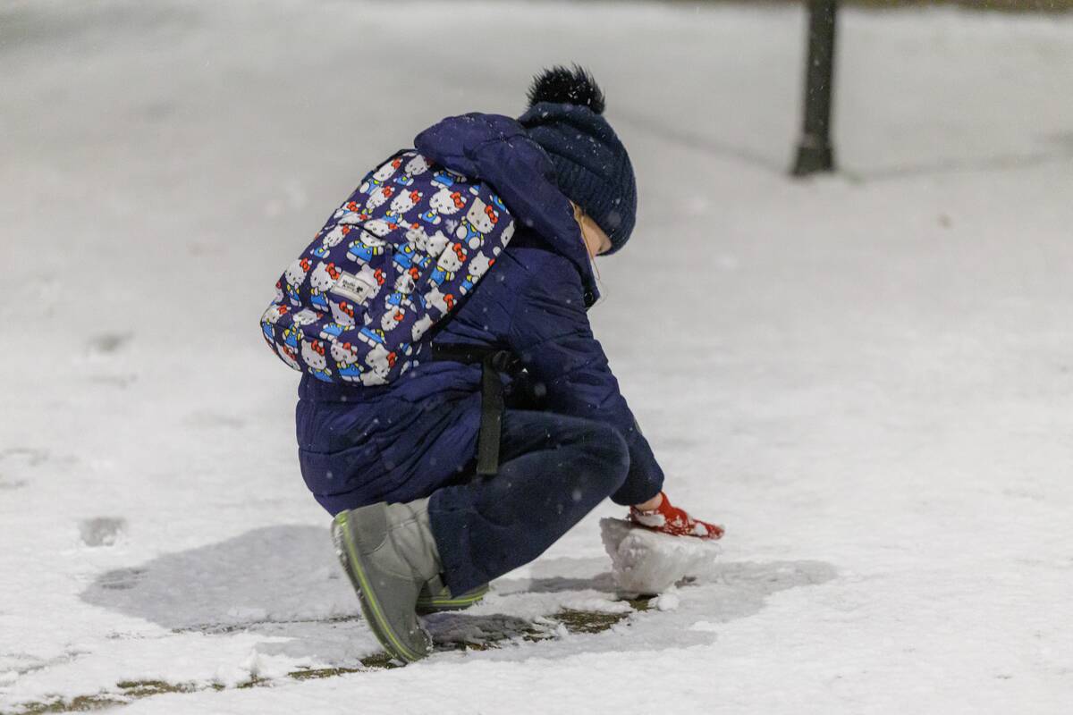 Įvardijo, ar šventės bus snieguotos