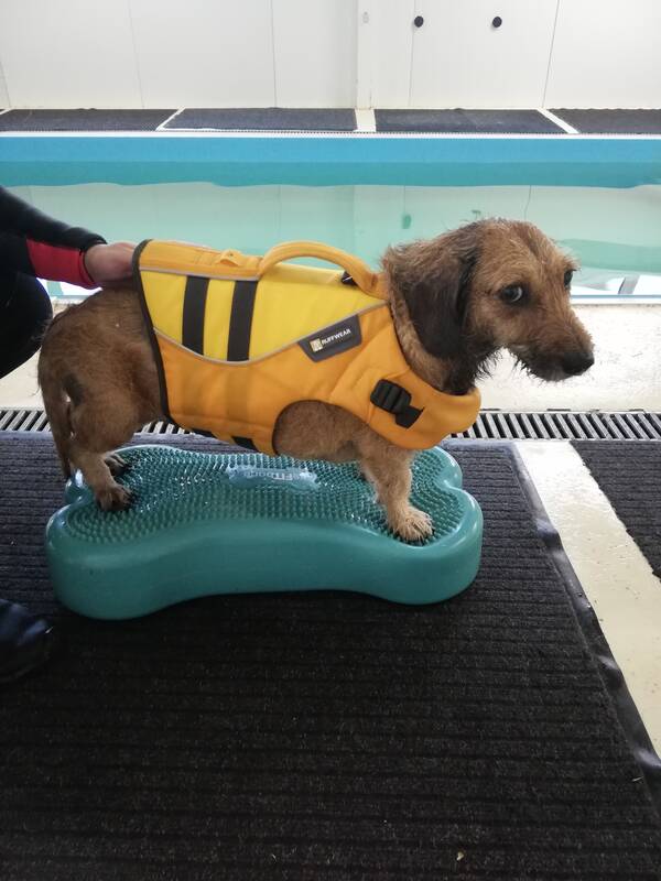 Reabilitacija: po operacijos mažylė išbandė net hidroterapiją.