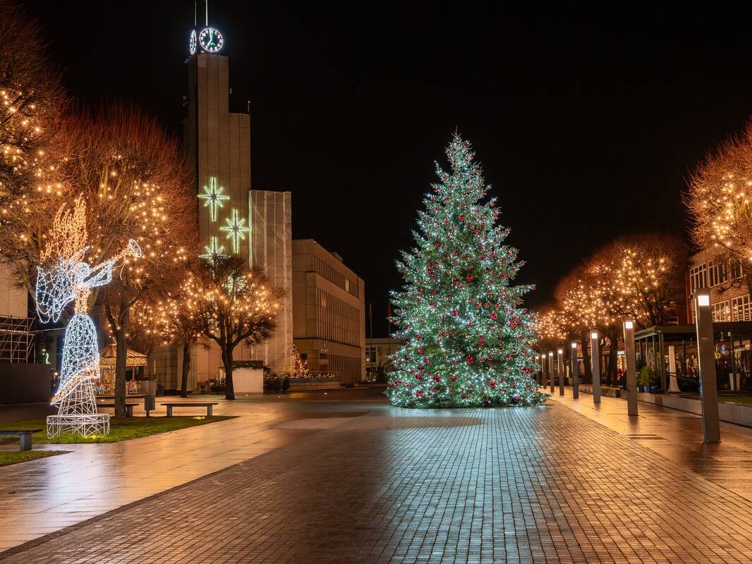 Alytaus Kalėdų eglės įžiebimas