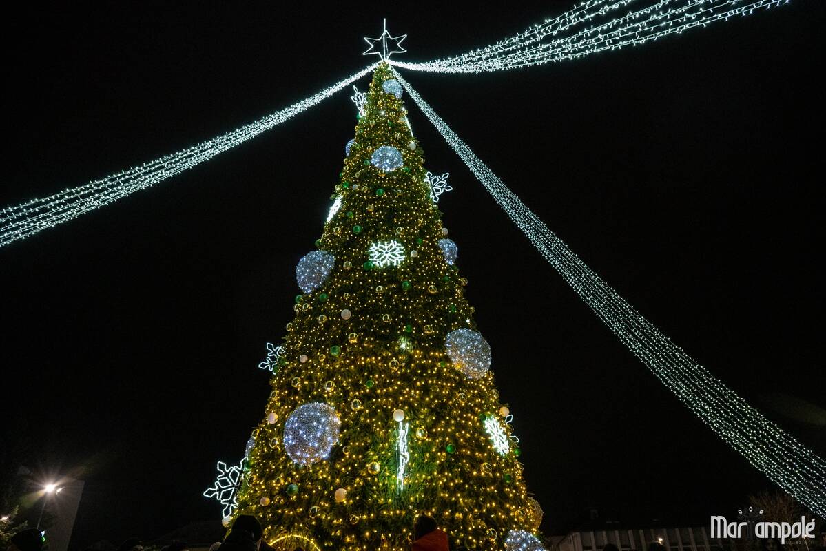 Marijampolės Kalėdų eglės įžiebimas