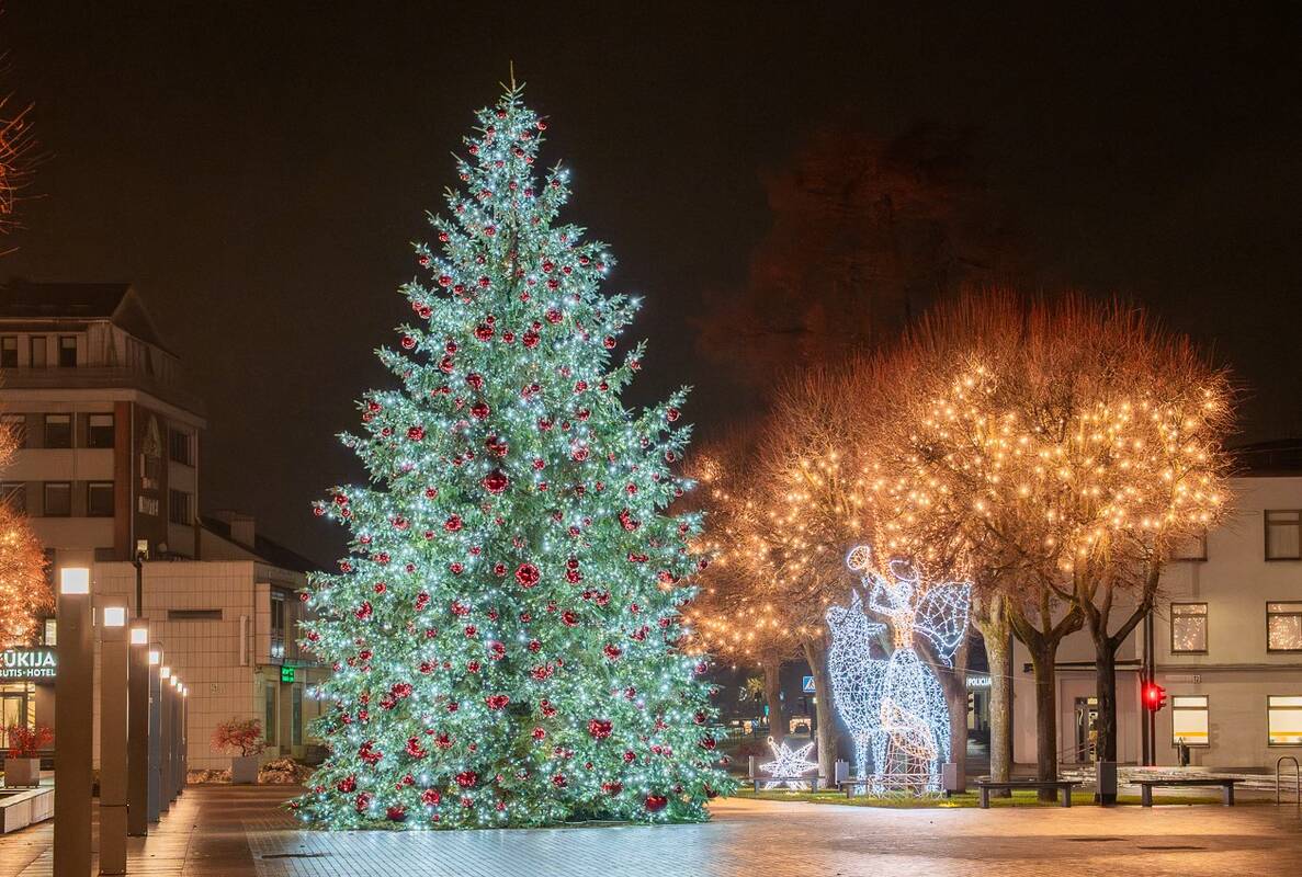 Alytaus Kalėdų eglės įžiebimas