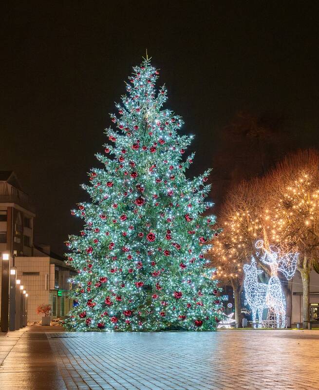 Alytaus Kalėdų eglės įžiebimas