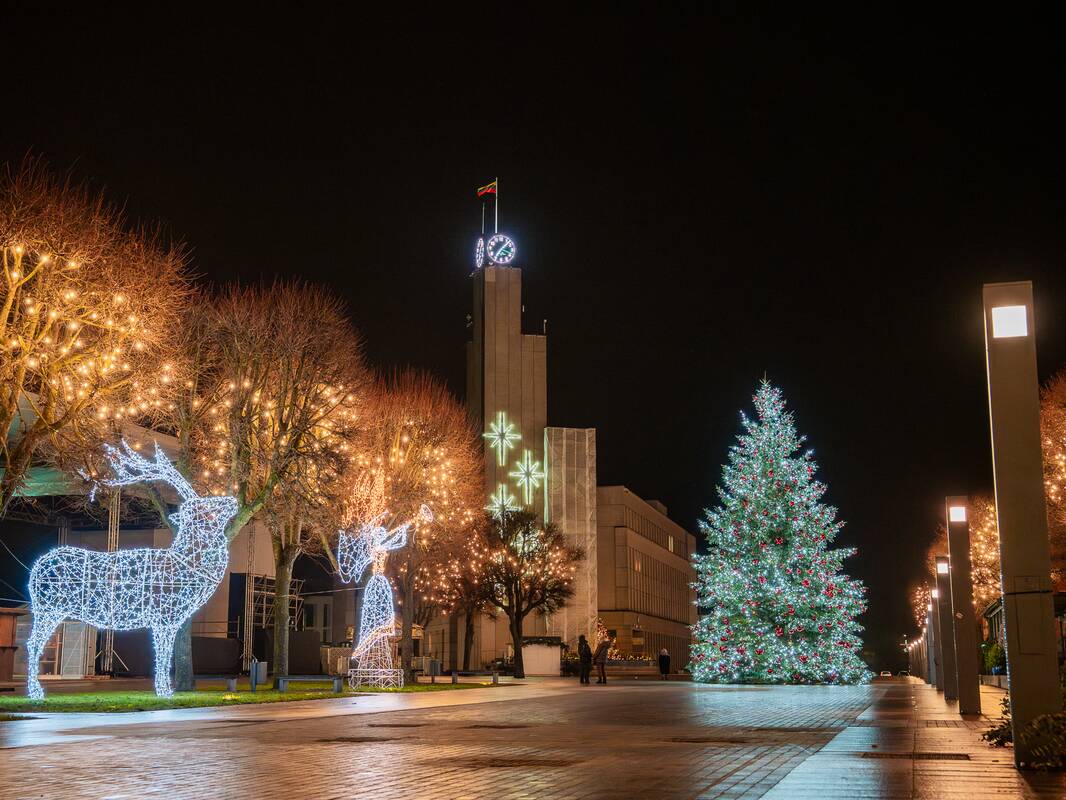 Alytaus Kalėdų eglės įžiebimas