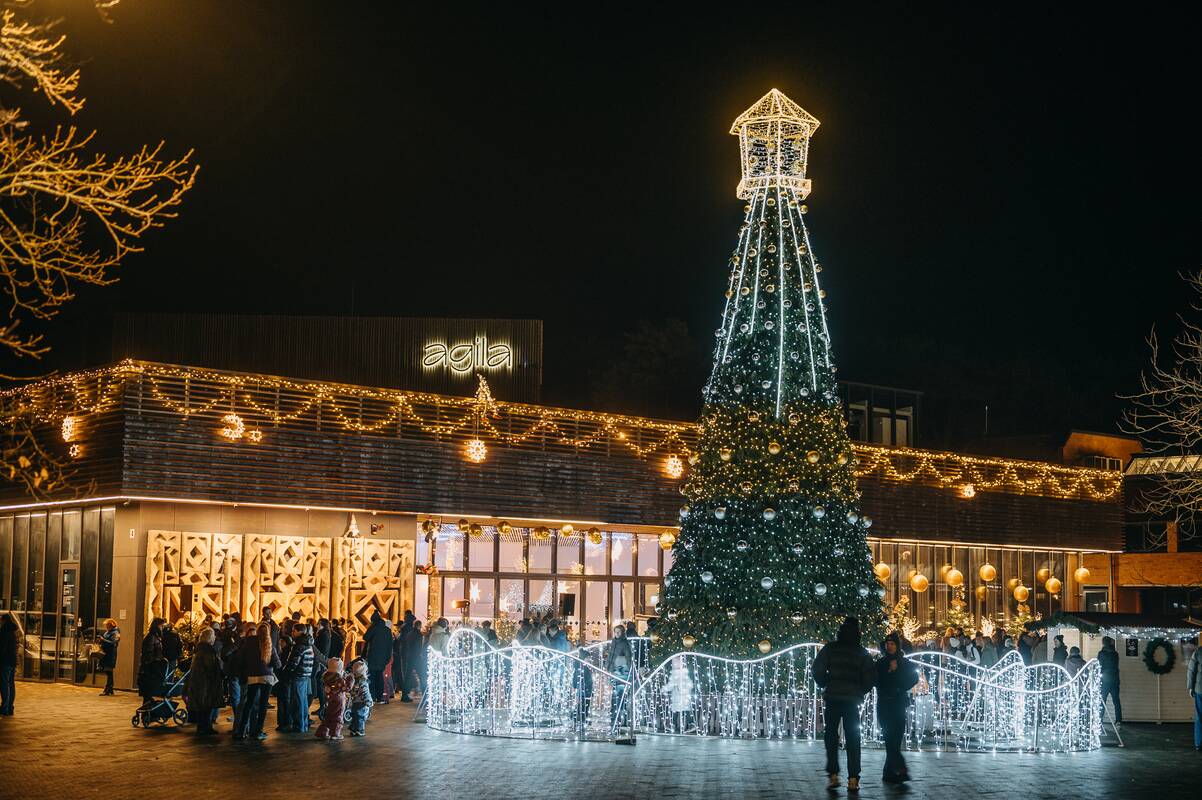 Sužibo labiausiai į Lietuvos vakarus nutolusi Nidos Kalėdų eglutė