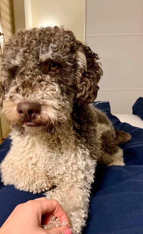 Kaimystė: prieš įsigydamas Zoro, Vytautas savo sprendimą aptarė ne tik su šeima, bet ir kaimynais.