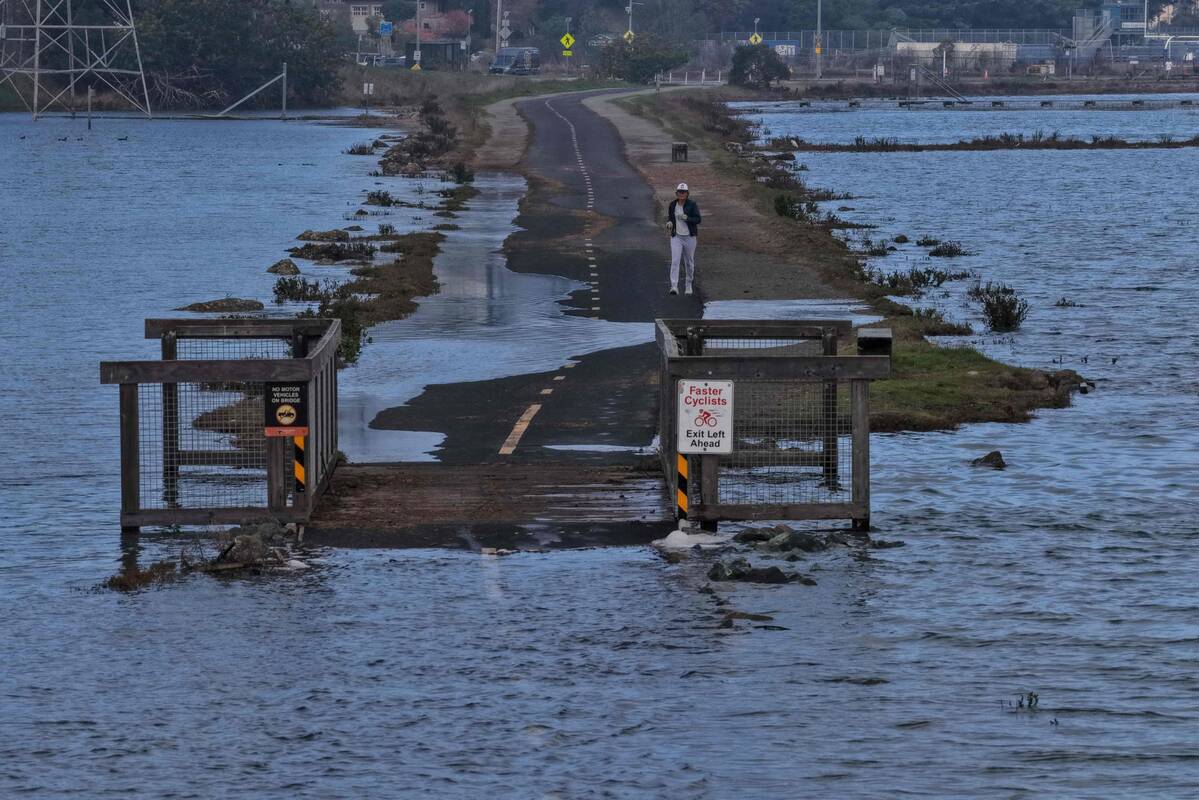 Dėl staigaus potvynio šiaurinėje Kalifornijoje apsemti keliai: gelbėjami žmonės, vienas žuvo