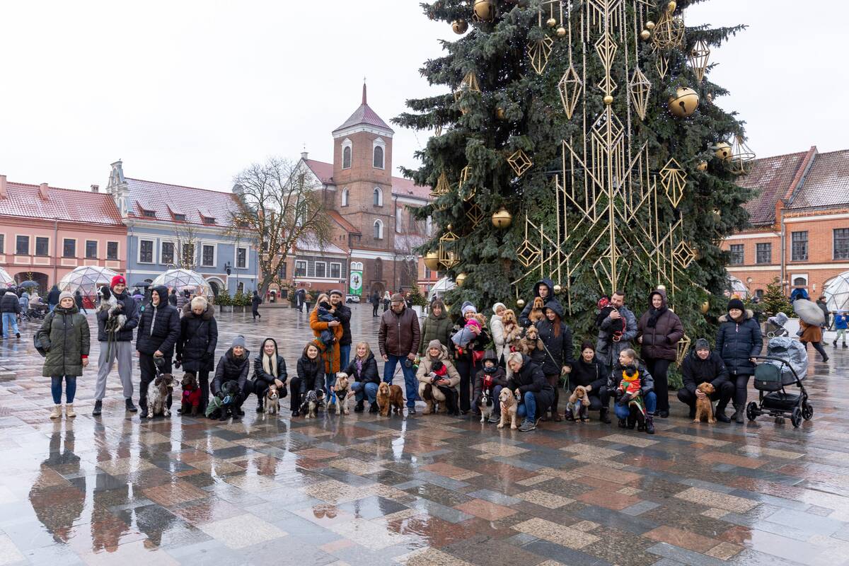Prie Kalėdų eglės – šuniukų susitikimas