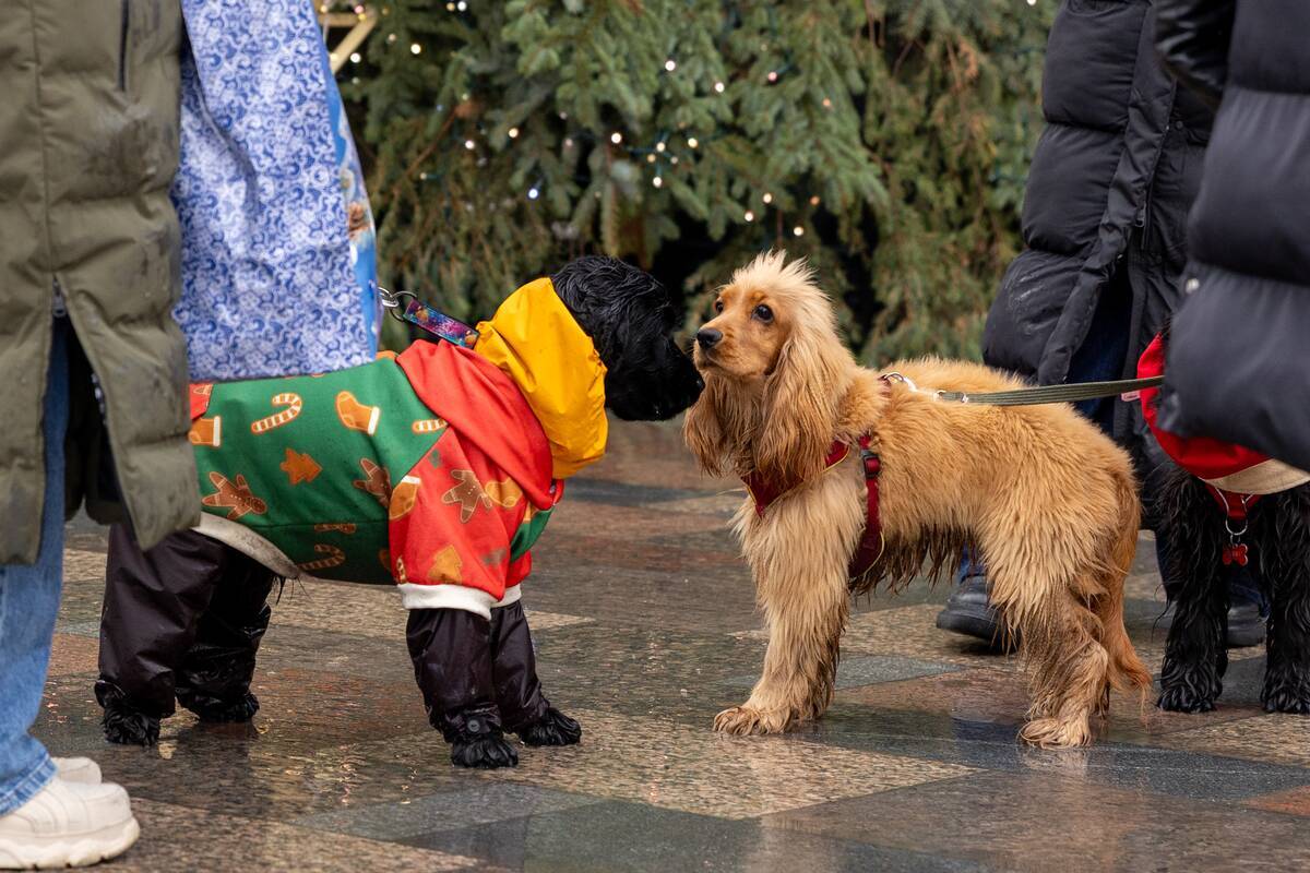 Dienos horoskopas 12 Zodiako ženklų (gruodžio 17 d.)