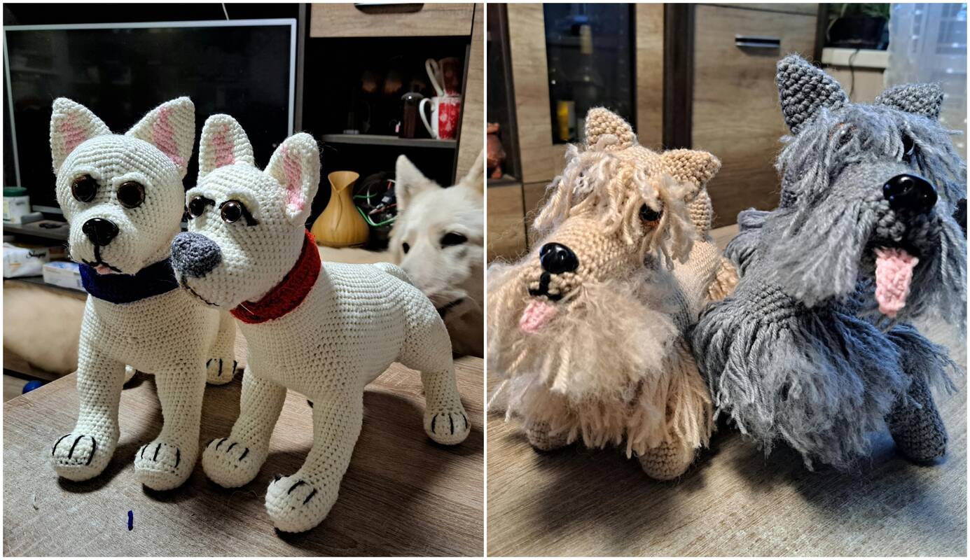 Talentas: šunų augintoja iš siūlų įgudo megzti išskirtines šunų veislių kopijas. Čia galime matyti šveicarų aviganių ir škotų terjerų porelių.