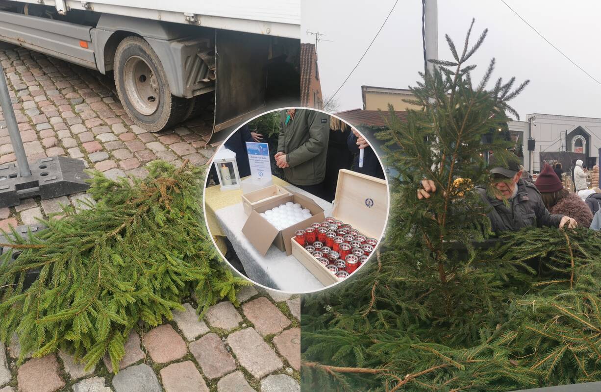 Eglišakių dalijimo akcija Klaipėdoje 