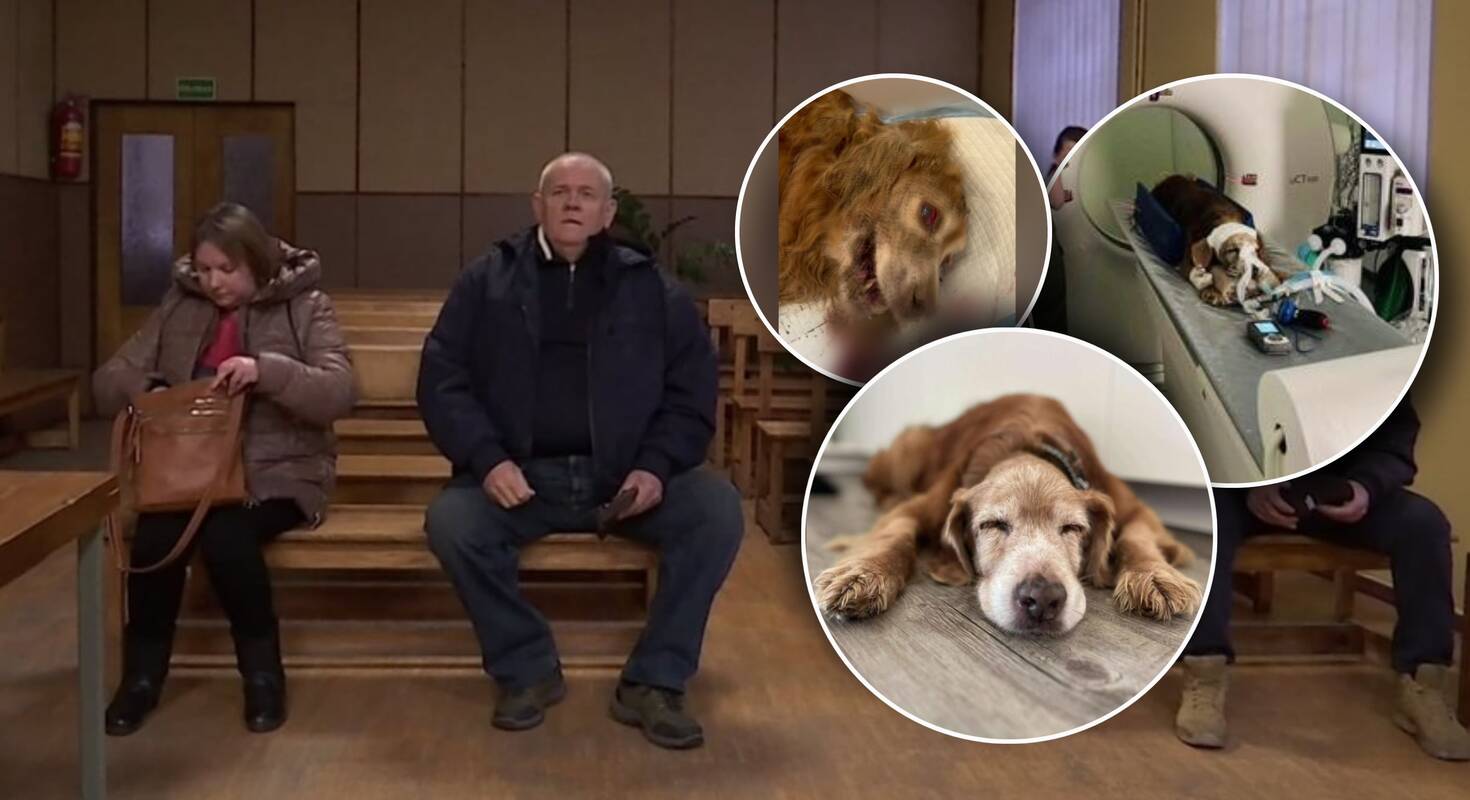 Gauso kankinimo istorijoje – pribloškiantys kaltinamųjų pasiaiškinimai