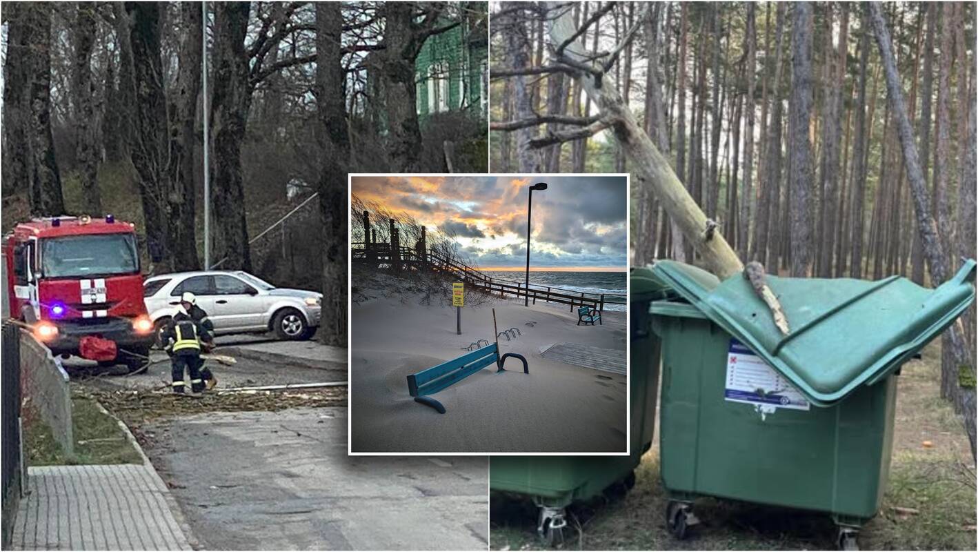 ESO atstovė: elektros tiekimas jau atkurtas visiems klientams