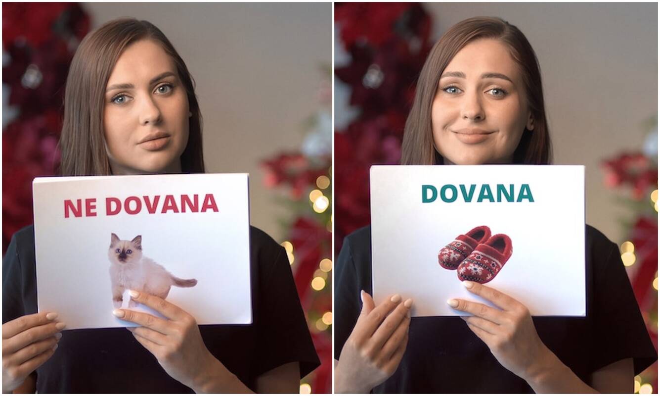 Nerekomenduoja: gyvūnų priežiūros specialistai ir prieglaudų atstovai pabrėžia, kad impulsyvus noras dovanoti gyvūną švenčių proga nėra geras pasirinkimas.