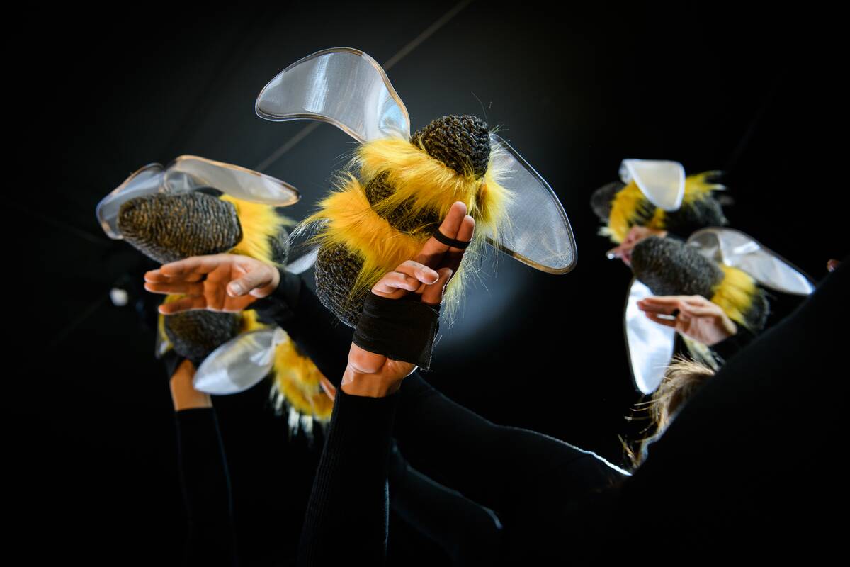 Plotmės: spektaklio kūrėjai sako teikiantys didelę reikšmę ne tik projekto meniškumui, bet ir edukacijai bei vaikų psichologijos subtilumams.