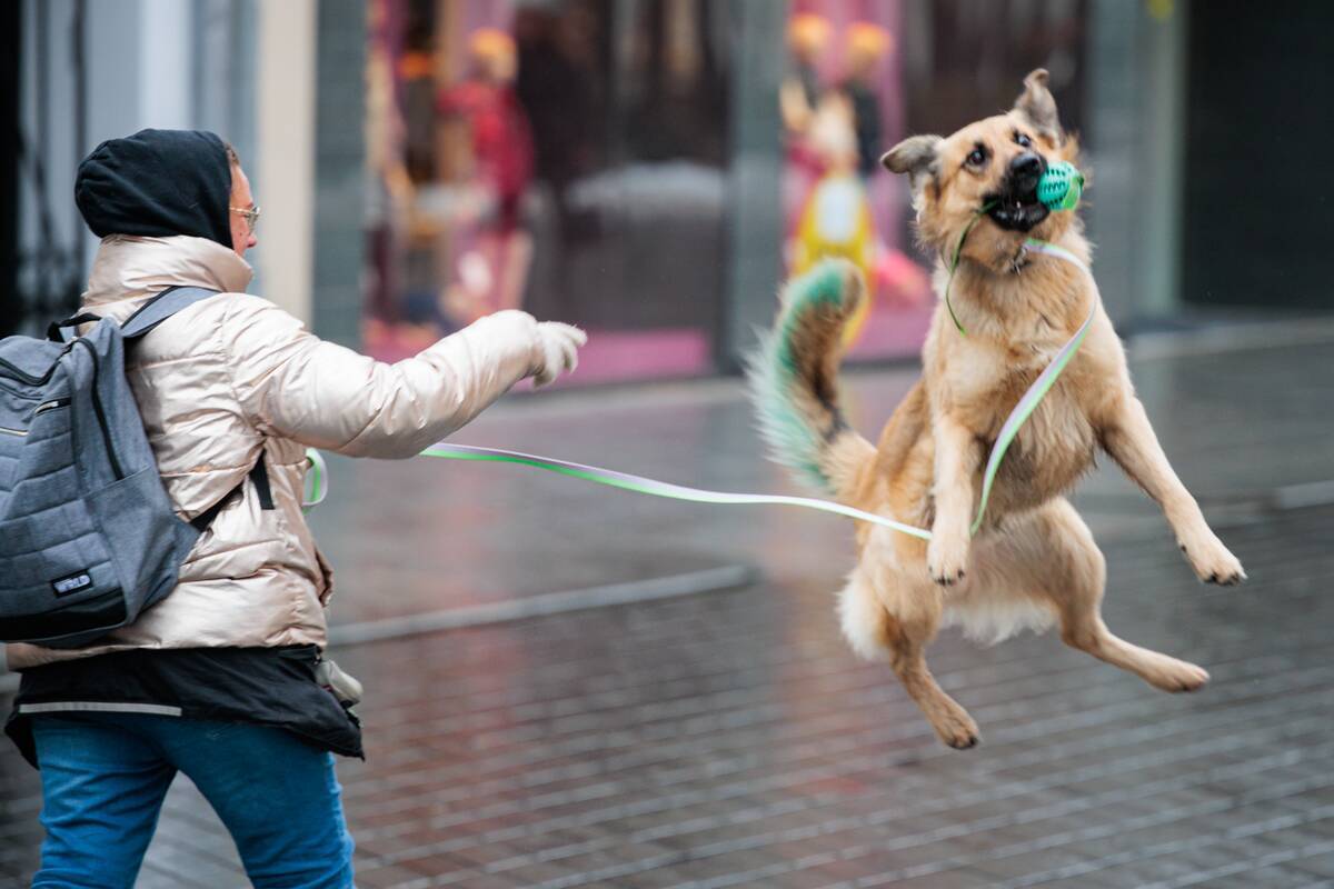 Dienos horoskopas 12 Zodiako ženklų (gruodžio 2 d.)