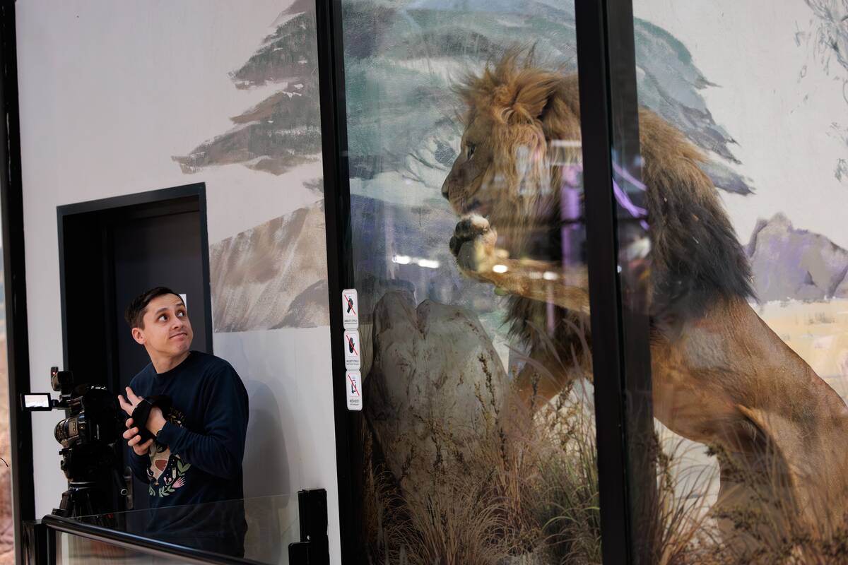 Kalėdos Lietuvos zoologijos sode