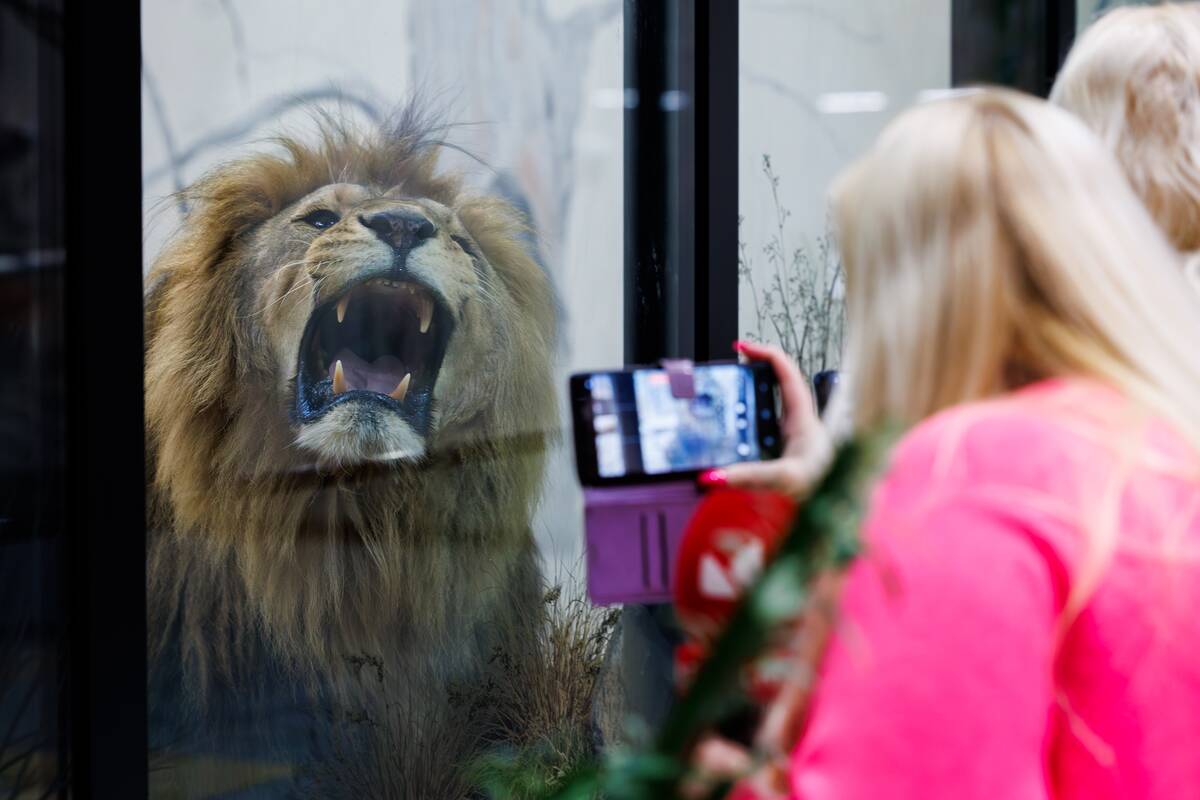 Kalėdos Lietuvos zoologijos sode