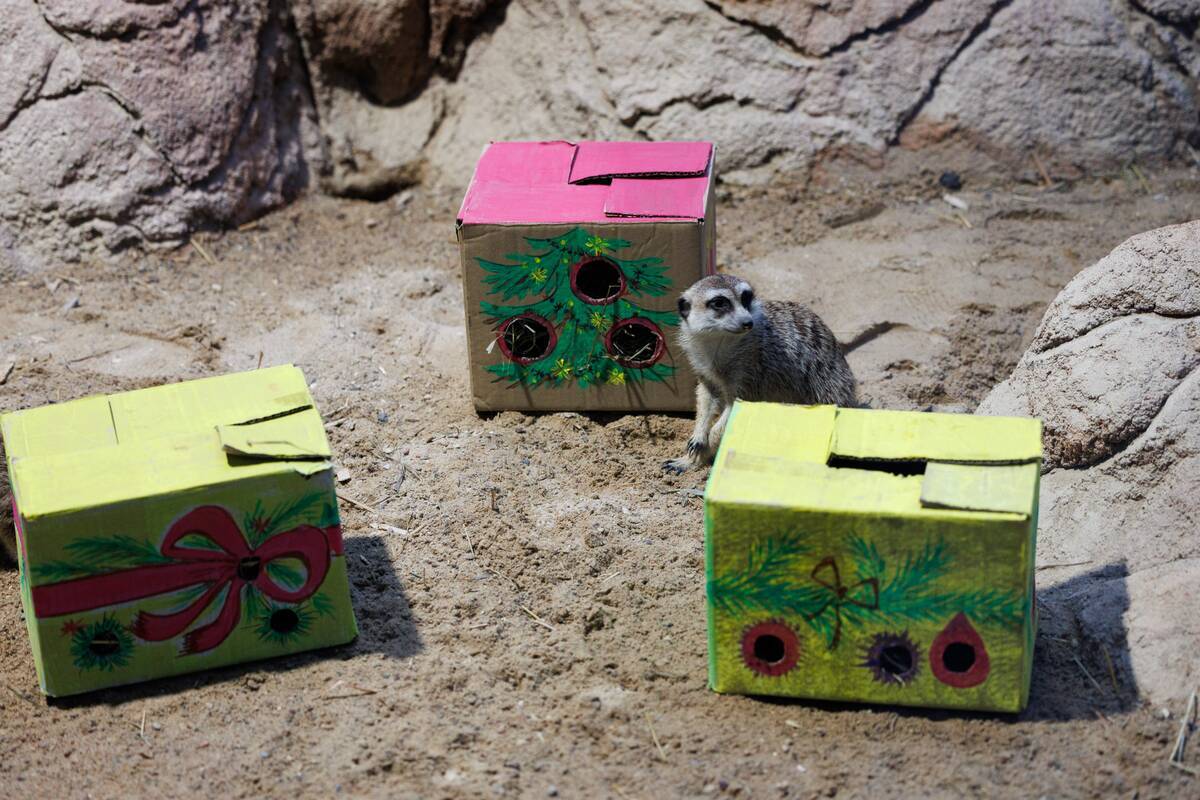 Dienos horoskopas 12 Zodiako ženklų (gruodžio 10 d.)