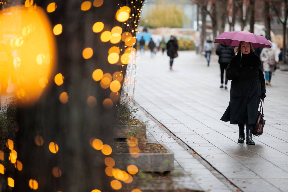 Kauniečių diena (2025-12-11)