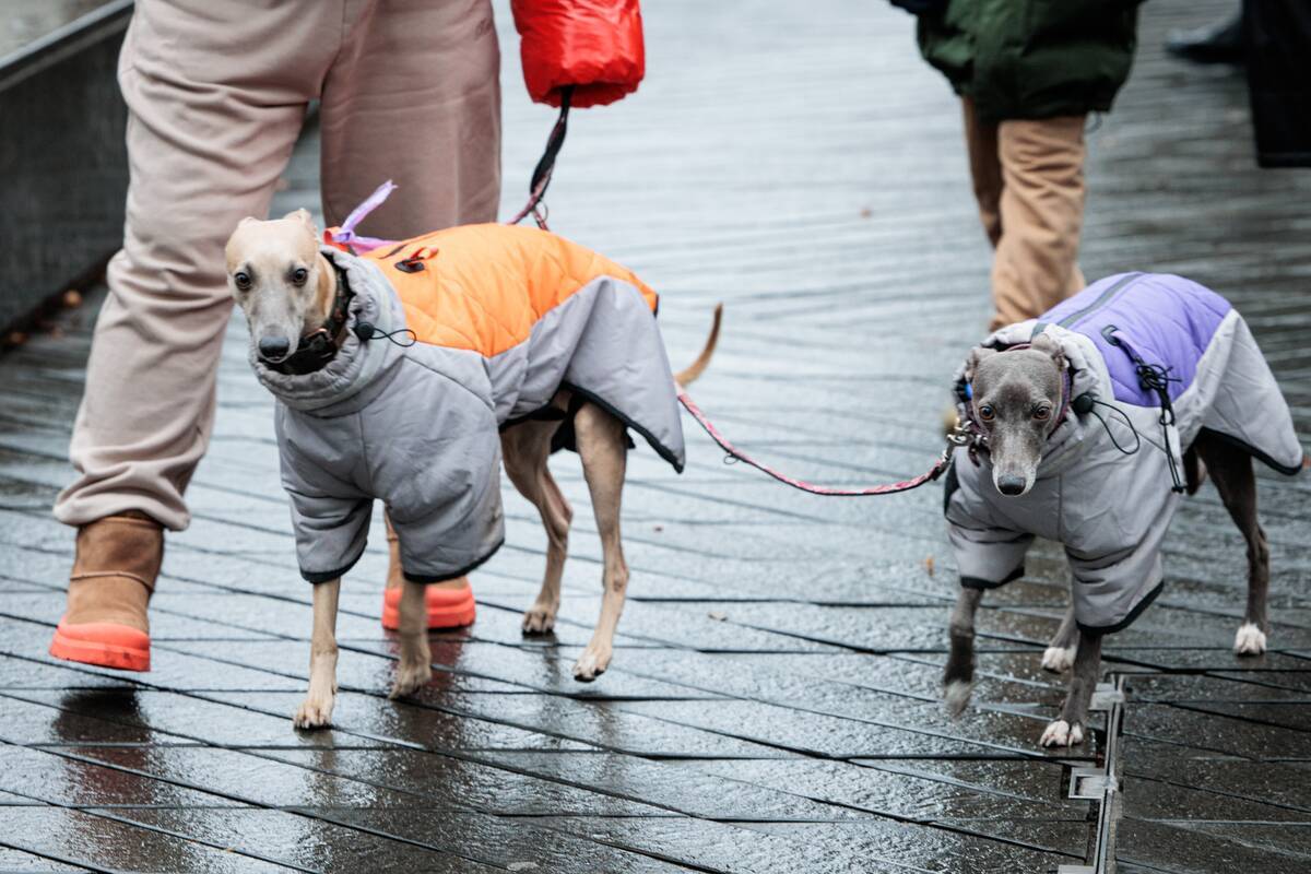 Dienos horoskopas 12 Zodiako ženklų (gruodžio 16 d.)