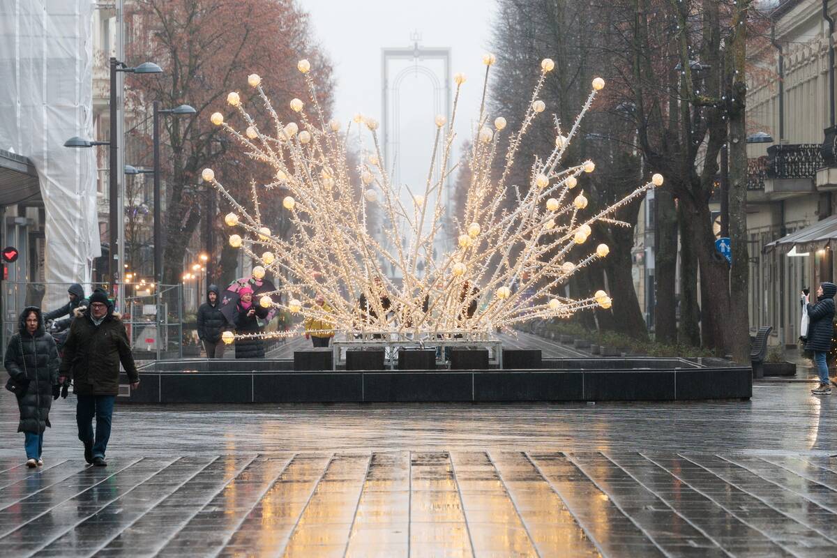 Kauniečių diena (2025-12-20)