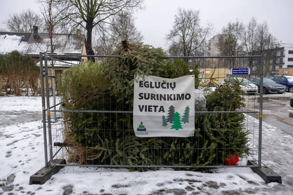 Skelbiama, kur vilniečiai gali palikti nupuoštas kalėdines egles