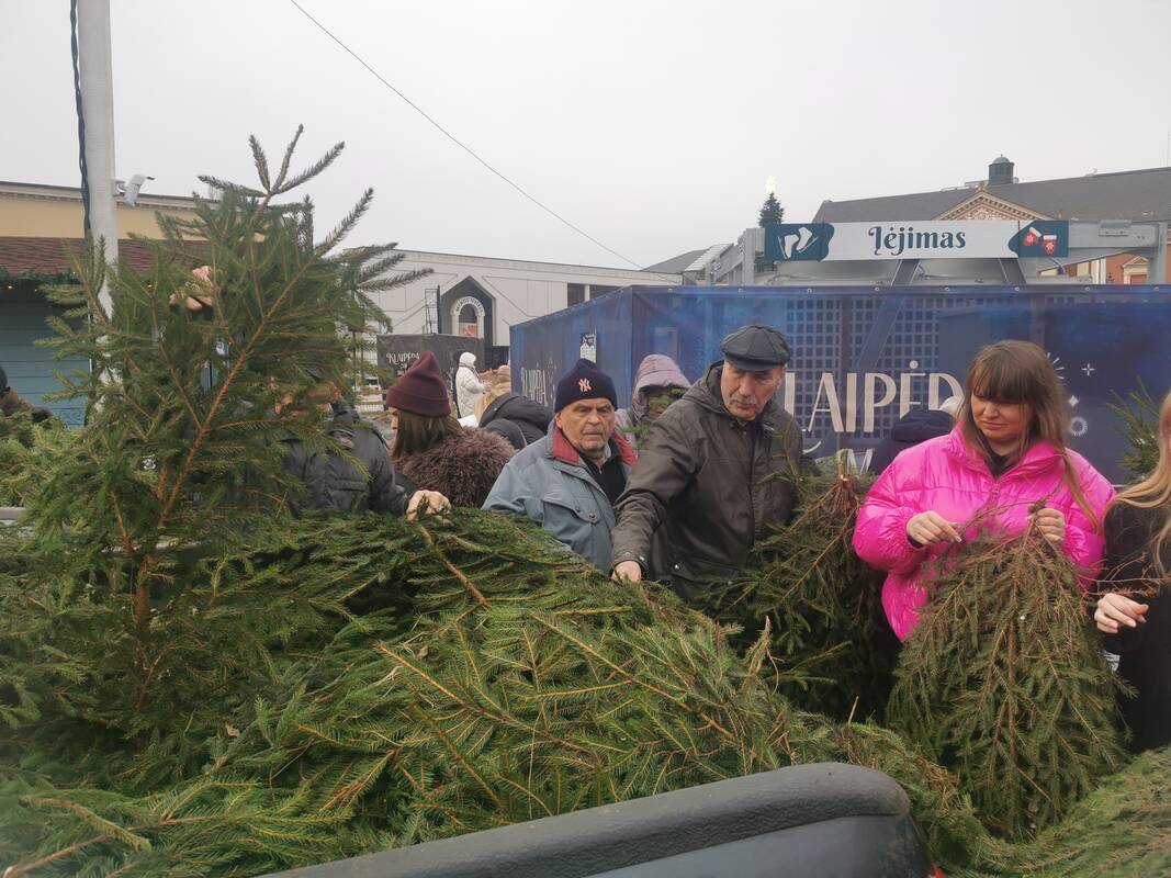 Eglišakių dalijimo akcija Klaipėdoje