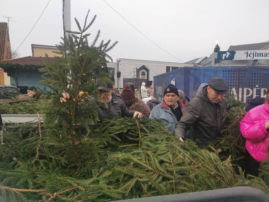 Eglišakių dalijimo akcija Klaipėdoje