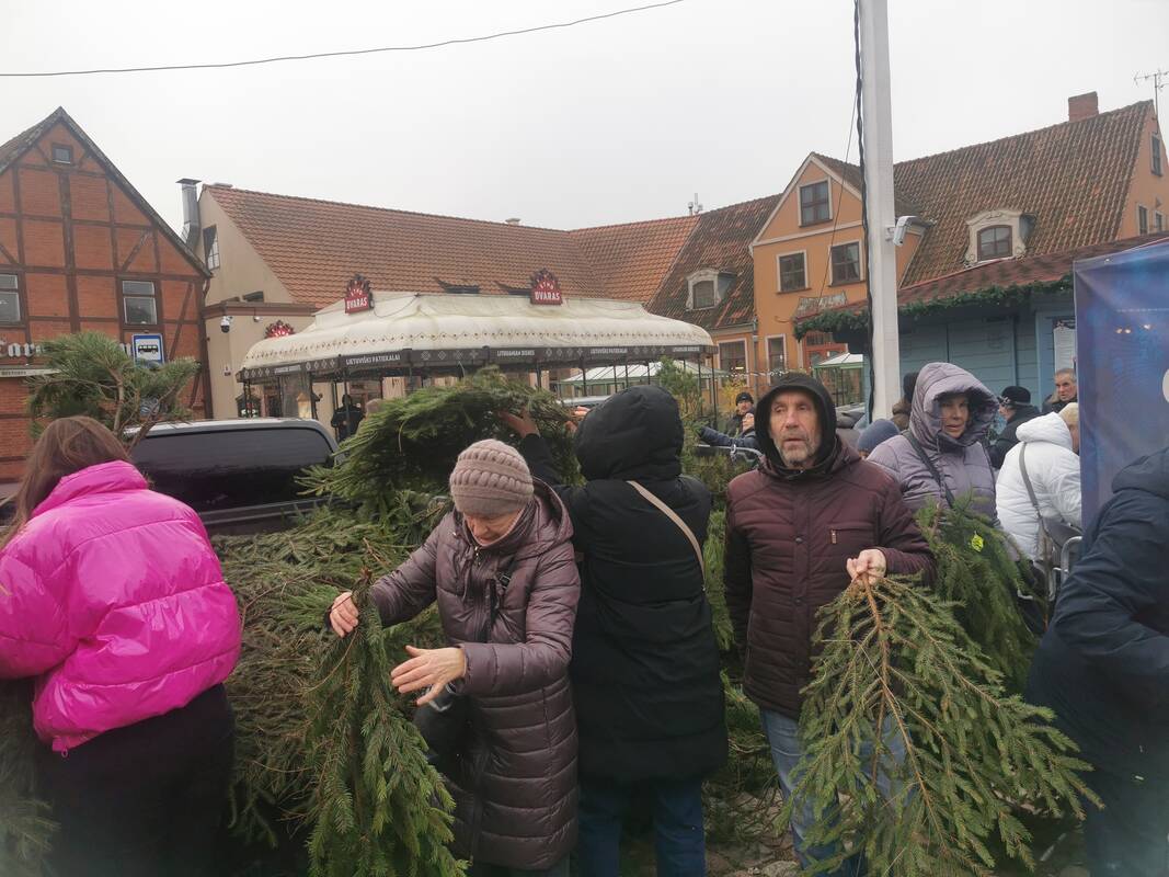 Eglišakių dalijimo akcija Klaipėdoje