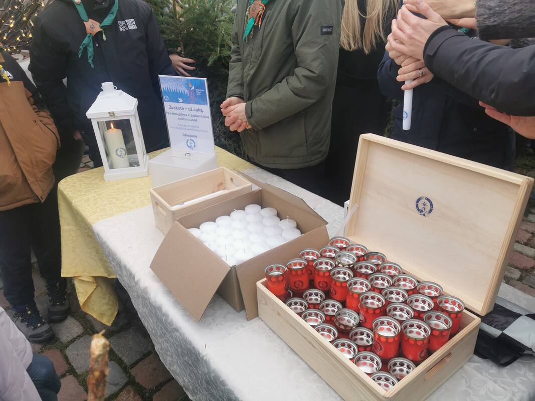 Eglišakių dalijimo akcija Klaipėdoje