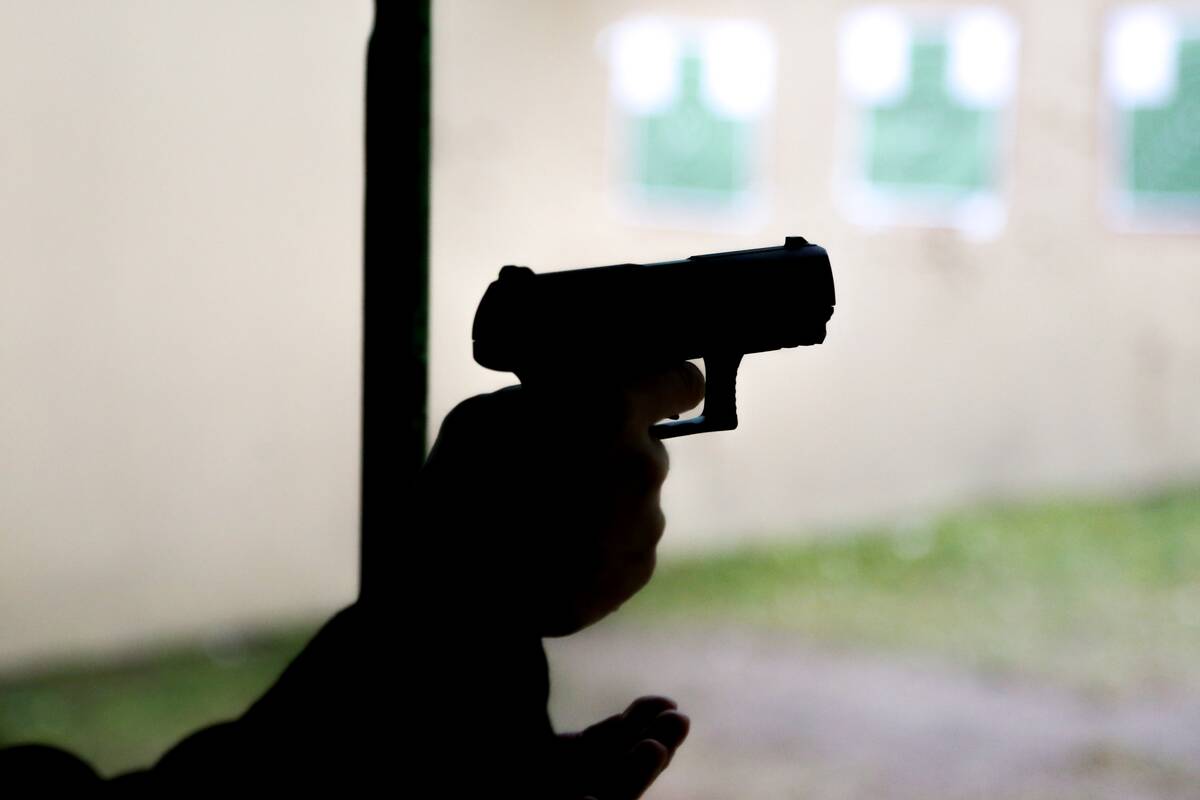 Šalčininkų rajone automobilio bagažinėje rastas šautuvas