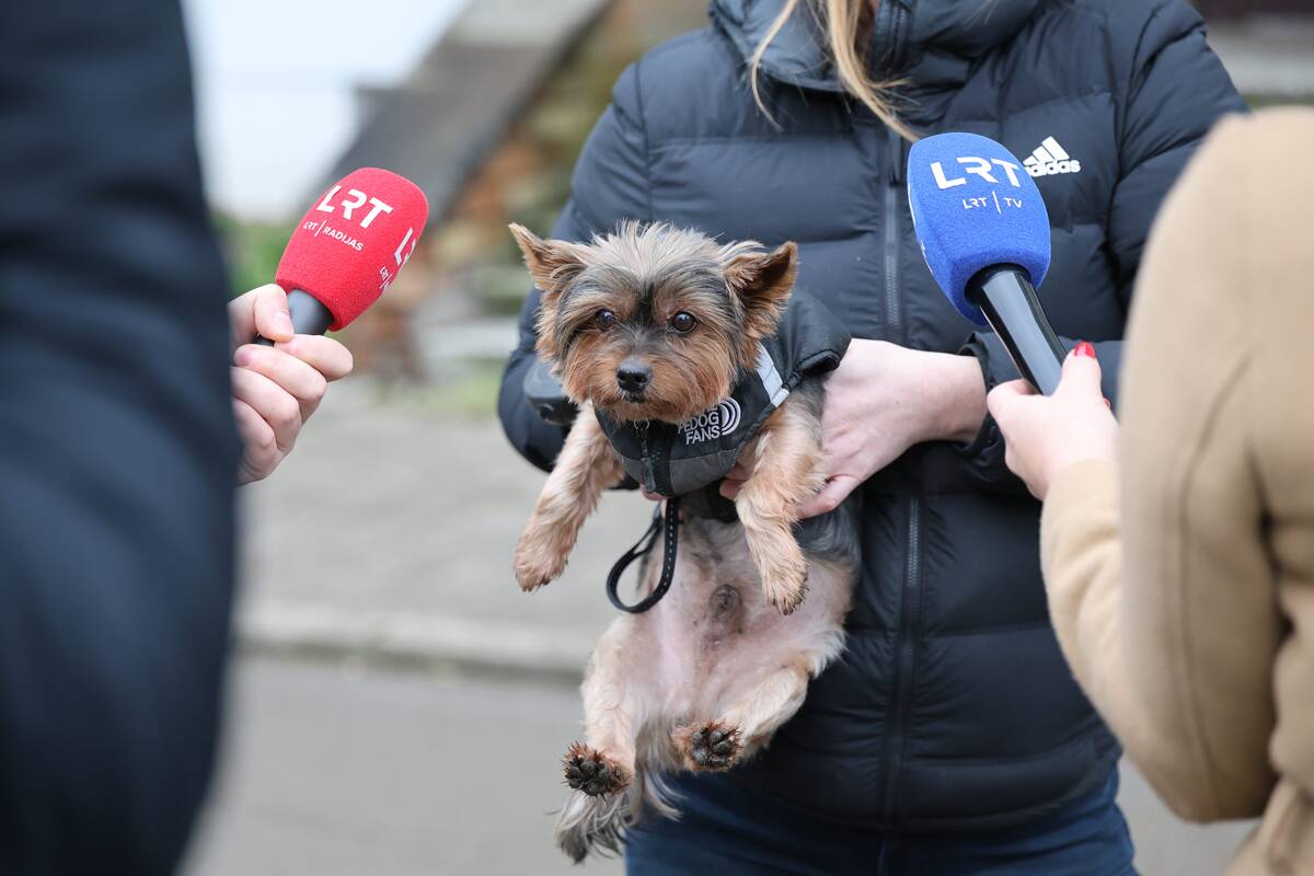 Policijos pareigūnai intensyviai ieško galimo žudiko