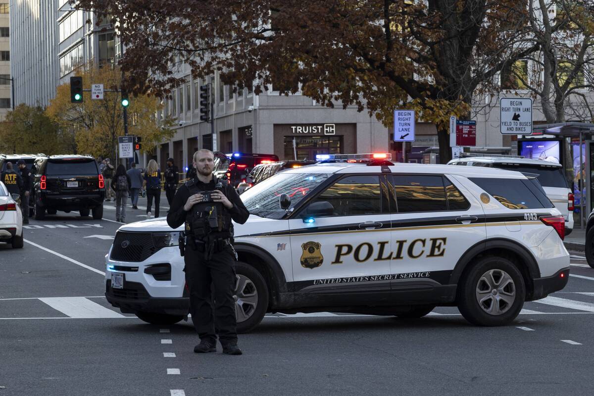 Žiniasklaida: sulaikytas įtariamasis, kuris Kapitolijaus šturmo išvakarėse padėjo vamzdinių bombų